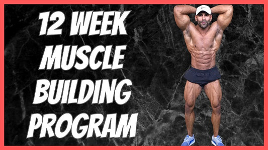 12 Week Muscle Building Programme